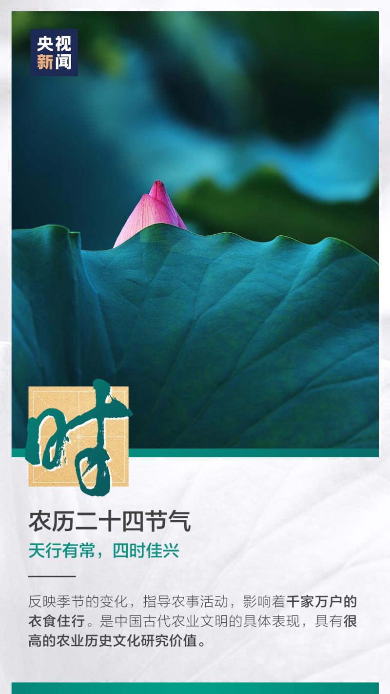 這也太浪漫了吧！