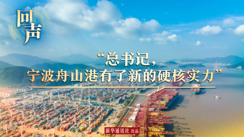 回聲｜“總書記，寧波舟山港有了新的硬核實力”