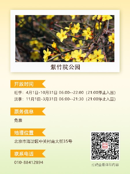追花指南第二期！京城三月里最撩人的玉蘭觀(guān)賞地
