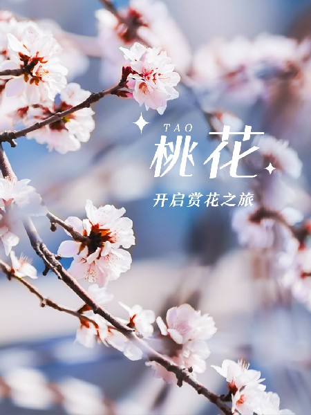 追花指南第三期！別等了 今天就去和桃花撞個滿懷