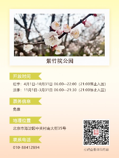 追花指南第六期！杏花雨 楊柳風(fēng) 北京最美的杏花在這里