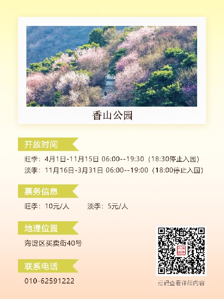 追花指南第六期！杏花雨 楊柳風(fēng) 北京最美的杏花在這里