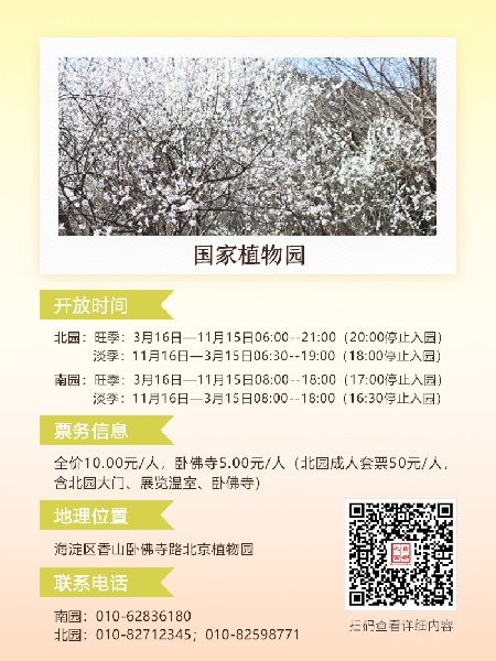 追花指南第六期！杏花雨 楊柳風(fēng) 北京最美的杏花在這里