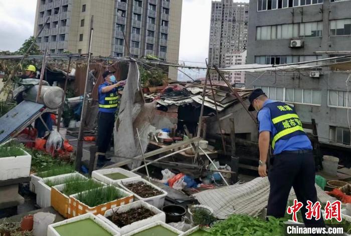 在一處居民樓屋頂，城管隊(duì)員拆除“空中菜園”。　金茜 攝