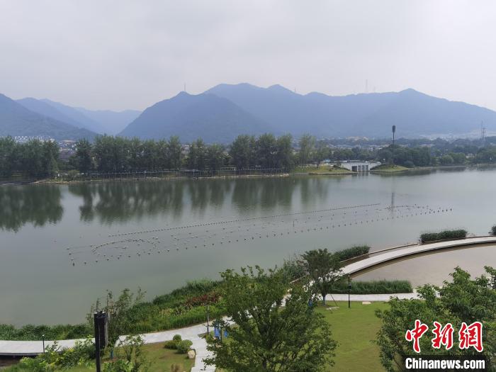 兩岸媒體共探杭州亞運會“綠”在何處？