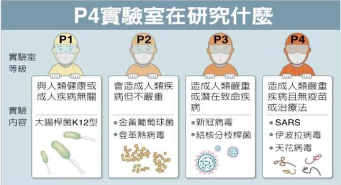 P4實驗室在研究什么。臺灣聯(lián)合新聞網(wǎng)資料圖
