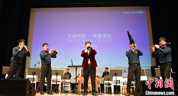 圖為音樂會現(xiàn)場?！∈谞栔袊幕行墓﹫D