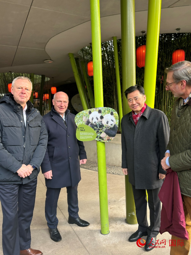 中國(guó)駐德國(guó)大使吳懇（右二）、柏林市長(zhǎng)韋格納（左二）、動(dòng)物園園長(zhǎng)克尼里姆（右一）和監(jiān)事會(huì)主席布魯克曼（左一）共同為“夢(mèng)想”“夢(mèng)圓”大熊貓紀(jì)念牌揭幕。人民網(wǎng)記者 徐馨攝