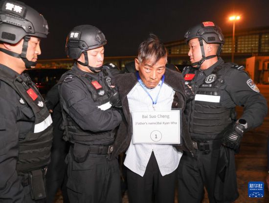 1月30日，在緬甸內(nèi)比都國際機場，緬甸警方依法向我公安機關移交緬北重大犯罪嫌疑人白所成。新華社記者 殷剛 攝