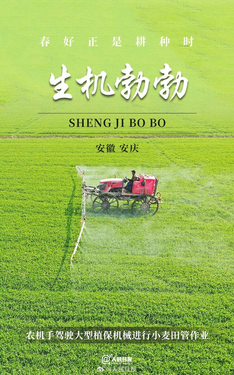 生機(jī)盎然！用課本封面打開春耕畫卷