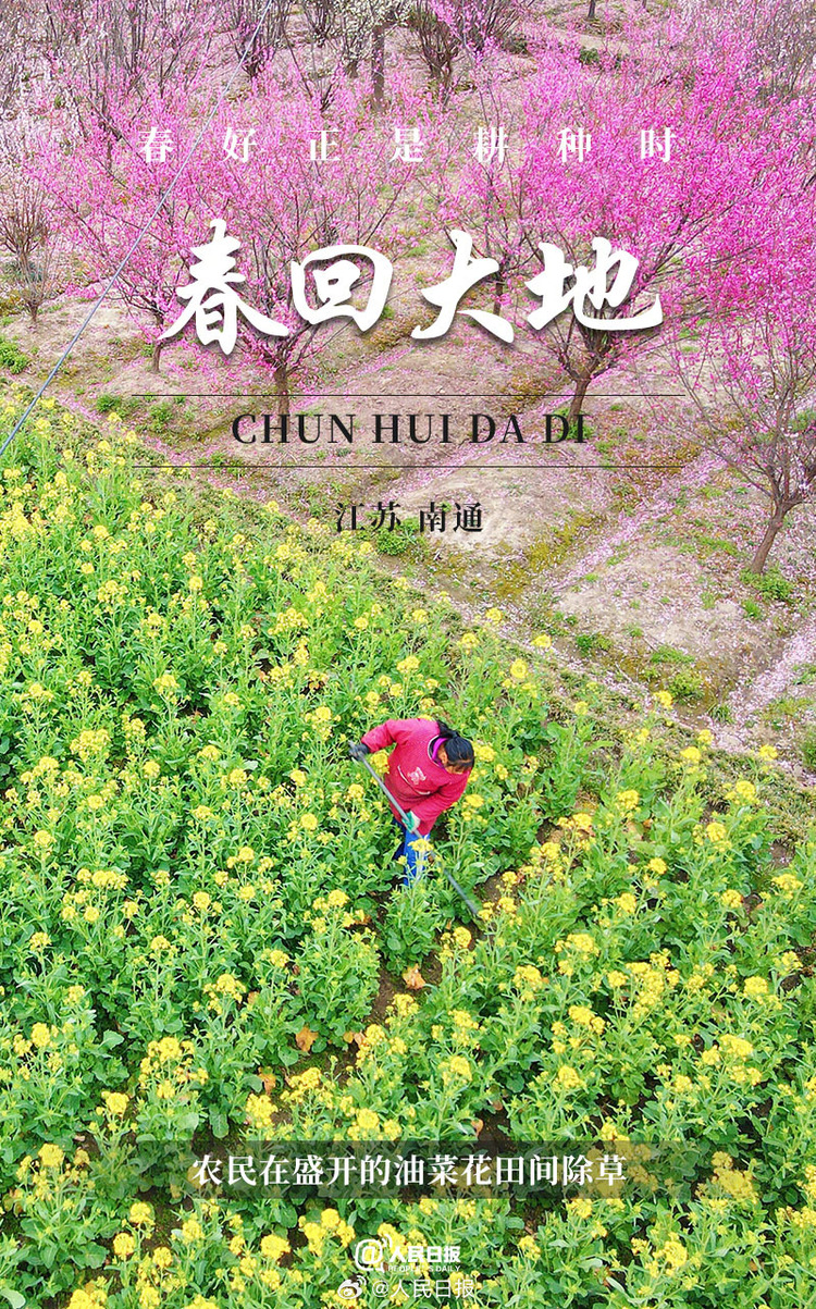 生機(jī)盎然！用課本封面打開春耕畫卷