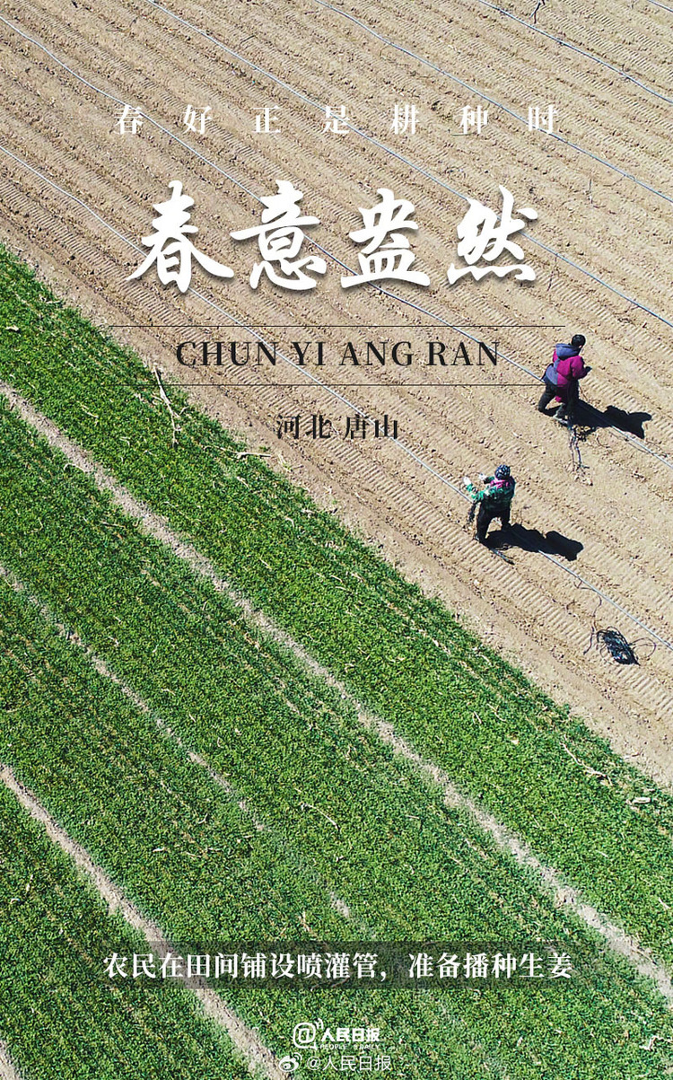 生機(jī)盎然！用課本封面打開春耕畫卷