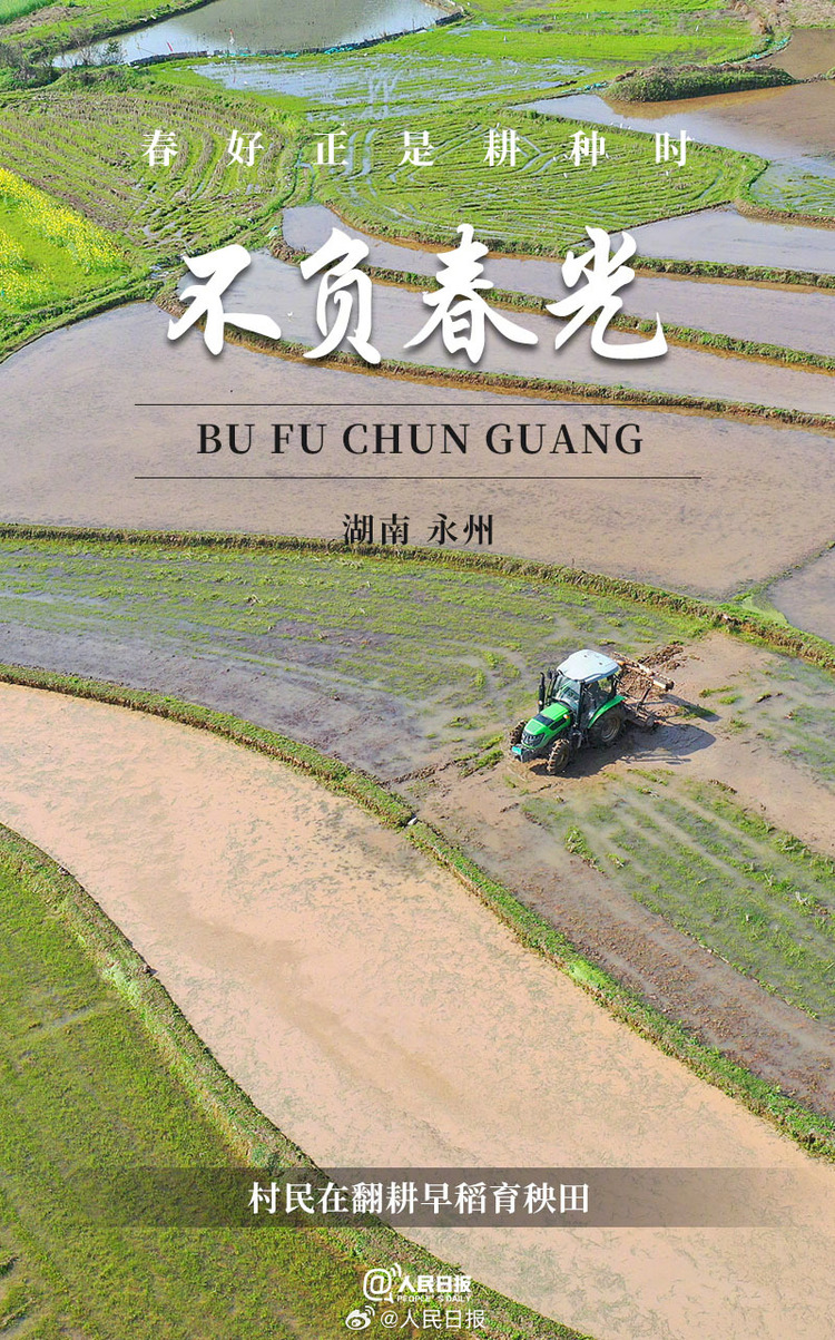 生機(jī)盎然！用課本封面打開春耕畫卷