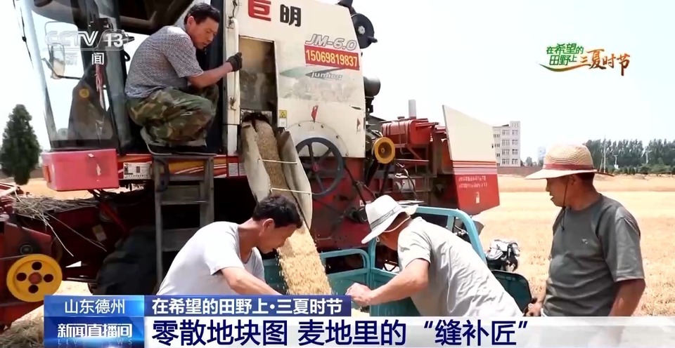 “三夏”生產(chǎn)思維導(dǎo)圖安排上了！還有政府大院等你來“曬”