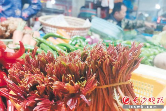 　　農(nóng)貿(mào)市場里鮮嫩的香椿?！　【鶠殚L沙晚報全媒體記者 劉捷萍 攝