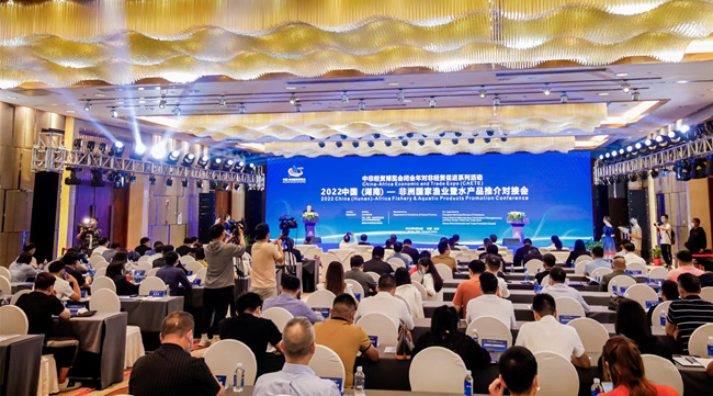 對接會現(xiàn)場。湖南省商務(wù)廳供圖