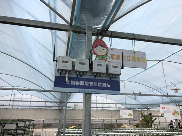 都市四季果園內(nèi)的物聯(lián)網(wǎng)智能監(jiān)測站系統(tǒng)。東?？h委宣傳部供圖