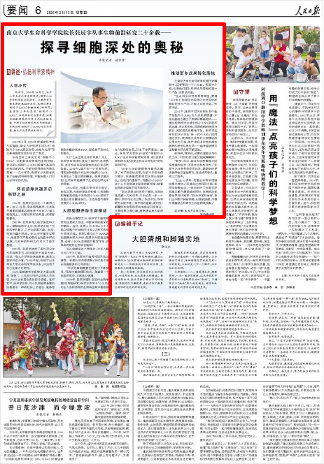 《人民日報》2025年2月13日6版 版面截圖