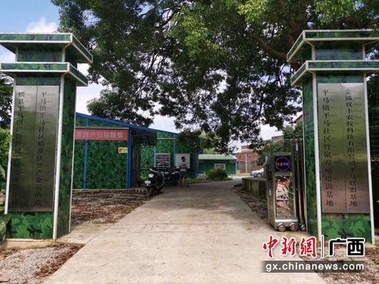 圖為平馬社區(qū)竹鼠養(yǎng)殖基地。
