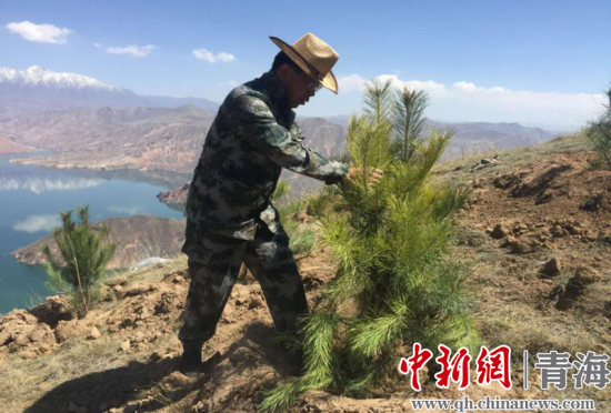 圖為尖扎干部職工生態(tài)建設和環(huán)境保護現場。尖宣 供圖