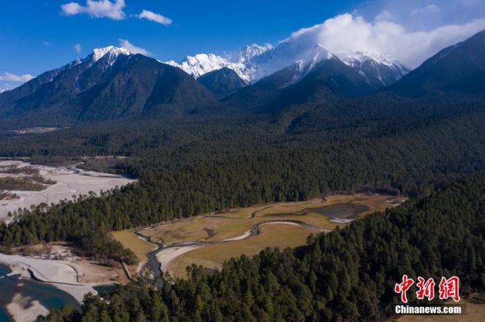 資料圖：西藏崗云杉林與遠處的雪峰。 何蓬磊 攝