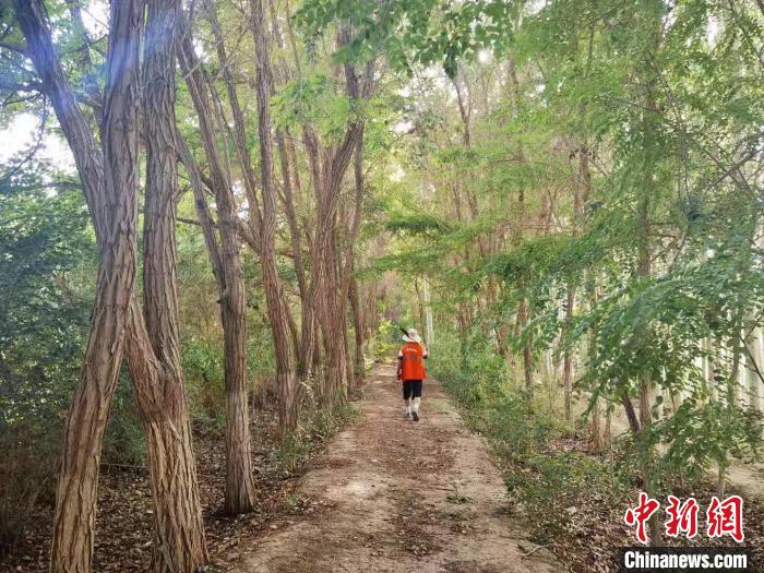 戈壁灘上的護林員：以前風(fēng)吹睜不開眼，現(xiàn)在滿眼皆綠色