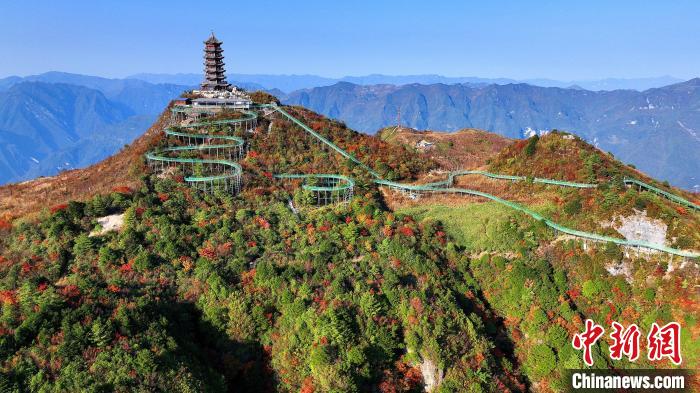 巴山大峽谷彩林迎來最佳觀賞期。　姚盛 攝