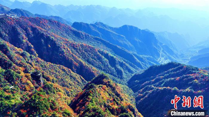 巴山大峽谷彩林迎來最佳觀賞期?！埰?攝