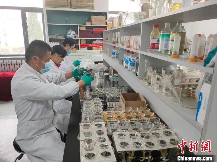 資料圖為研究團隊進行樣本檢查?！?青海省畜牧獸醫(yī)科學(xué)院供圖