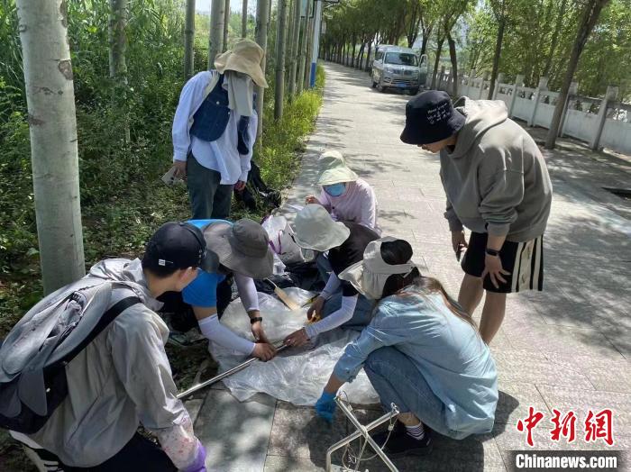 圖為科研人員正在進行監(jiān)測?！∥鲗庝宜畤覞竦毓珗@供圖