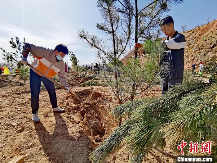 圖為西寧市城東區(qū)義務(wù)植樹活動(dòng)現(xiàn)場?！?zhí)砀?攝