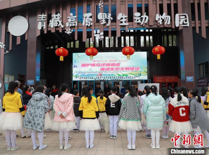 圖為青海省西寧市開展第42屆“愛鳥周”科普宣傳活動(dòng)?！●R銘言 攝