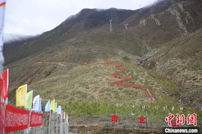 圖為拉薩南北山綠化工程拉薩曲水縣才納村5號片區(qū)?！∝暣_ 攝