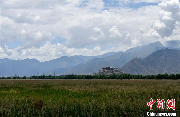圖為拉薩拉魯濕地?！±盍?攝
