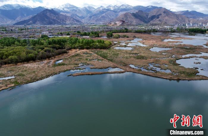 圖為拉薩拉魯濕地。(無人機(jī)照片) 李林 攝