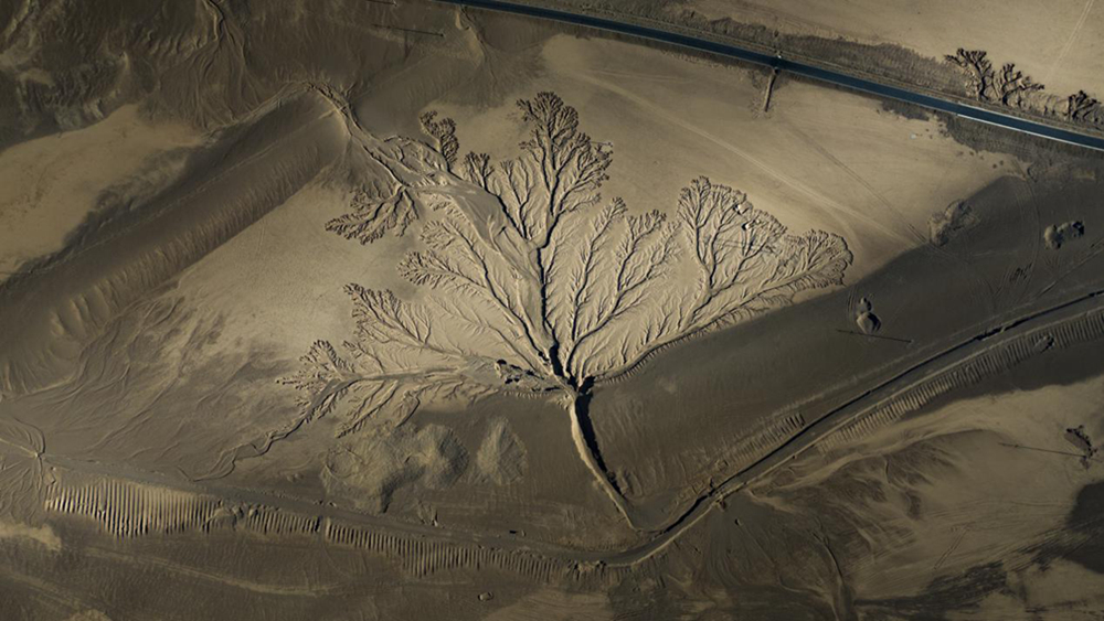 無人機視角下的西藏阿里地區(qū)改則縣“大地之樹”景觀。尼瑪多吉攝