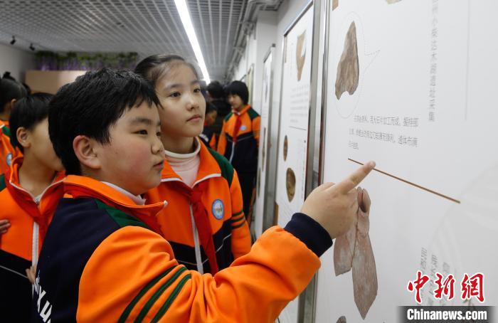 青海省博物館展覽進校園學(xué)生近距離了解青海歷史文化