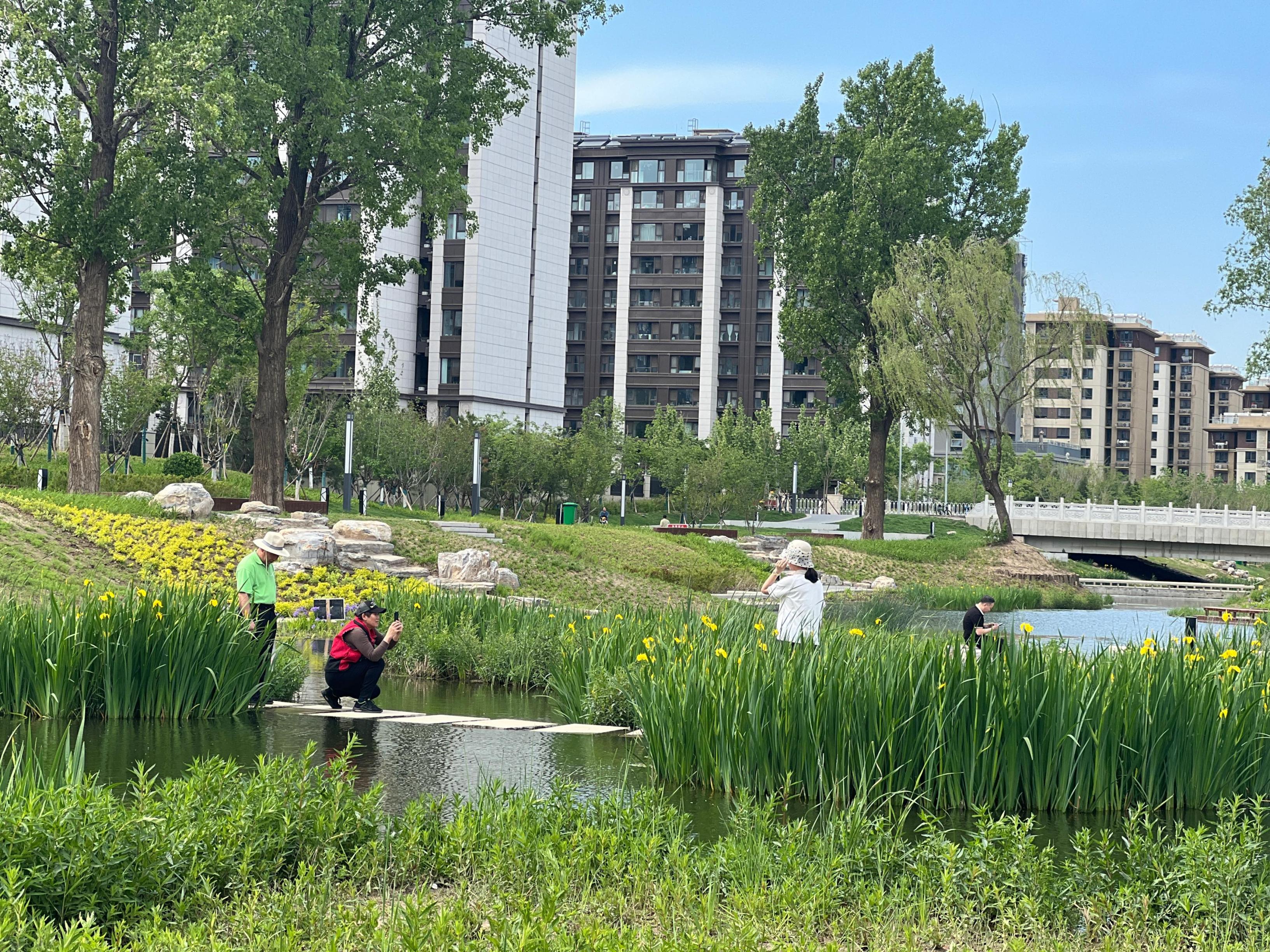 五一渠生態(tài)濱河公園內(nèi)，市民正在拍照留念。人民網(wǎng) 歐陽易佳攝