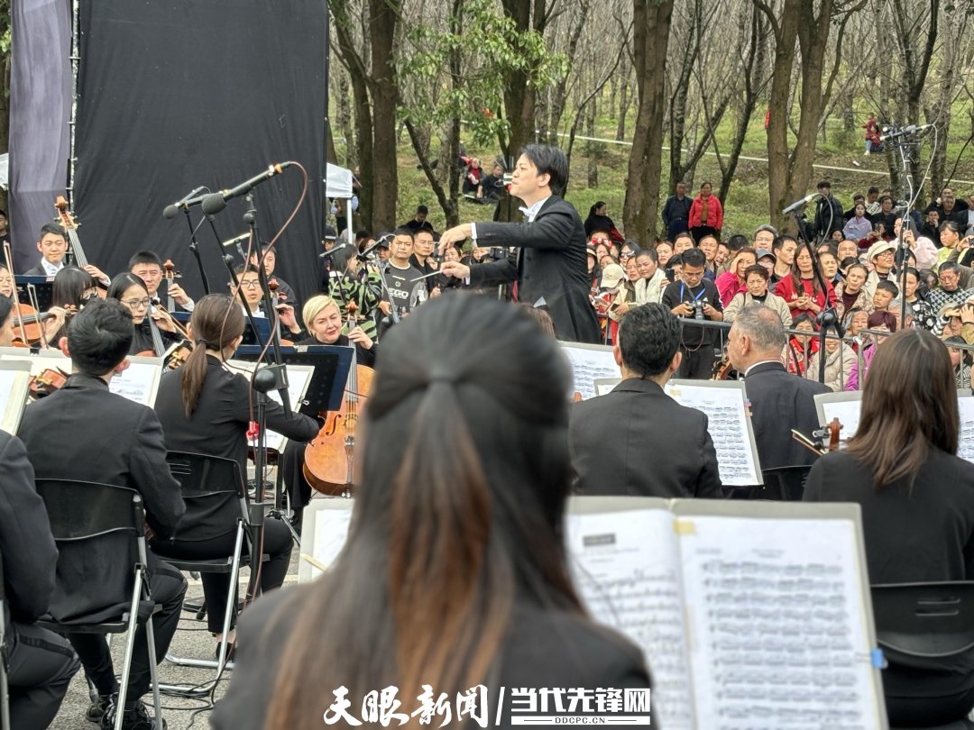 貴陽路邊音樂會·貴安櫻花園專場交響樂現(xiàn)場。丁亞 文丹 攝