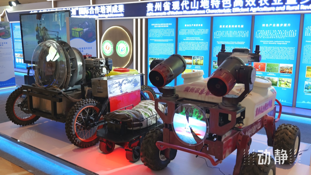 展示成果分享經(jīng)驗(yàn)，中國(guó)—東盟教育交流周深化合作共創(chuàng)未來！