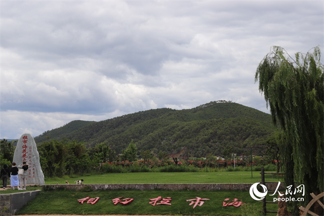 麗江市拉市海景區(qū)。 人民網(wǎng)記者 程浩攝