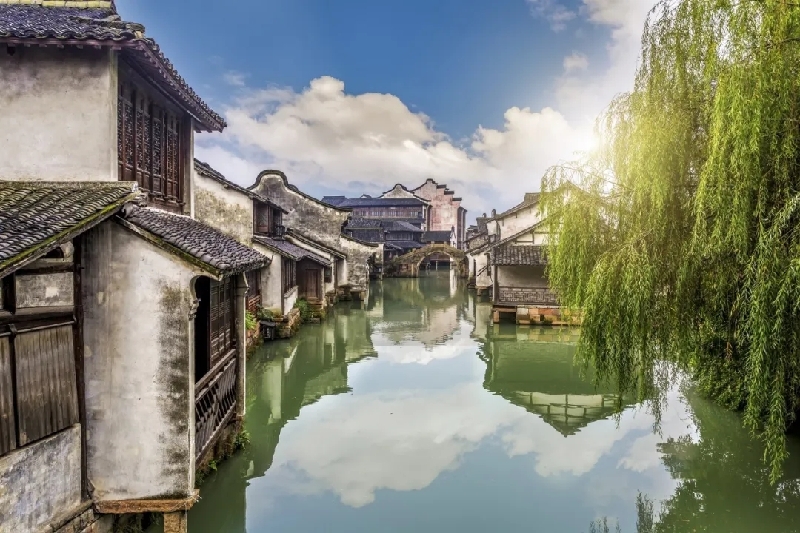 烏鎮(zhèn)動(dòng)觀察｜這個(gè)字，牽起國際交流互鑒之紐帶