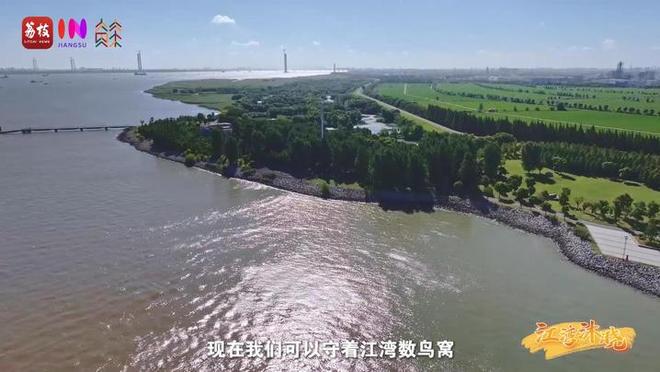 “縣”在起筆 青綠繪江山 | 江灣沐曉：褪去“銹色”走“金線”，繡出生態(tài)與產(chǎn)業(yè)“雙面錦”