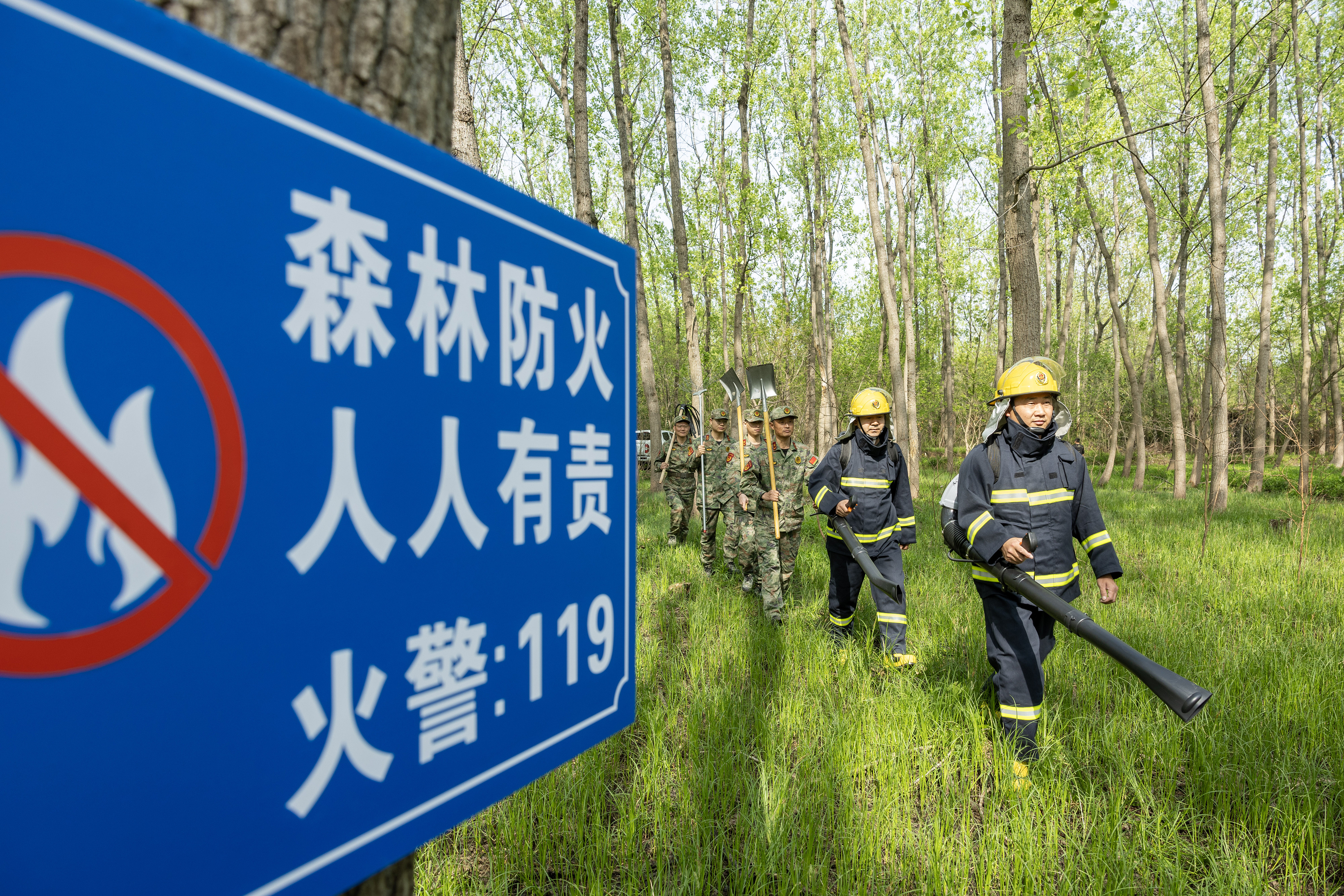 2024年4月9日，合肥市大房郢水庫水源保護(hù)地廬陽經(jīng)濟(jì)開發(fā)區(qū)段，基干民兵正在林間巡查火災(zāi)隱患。