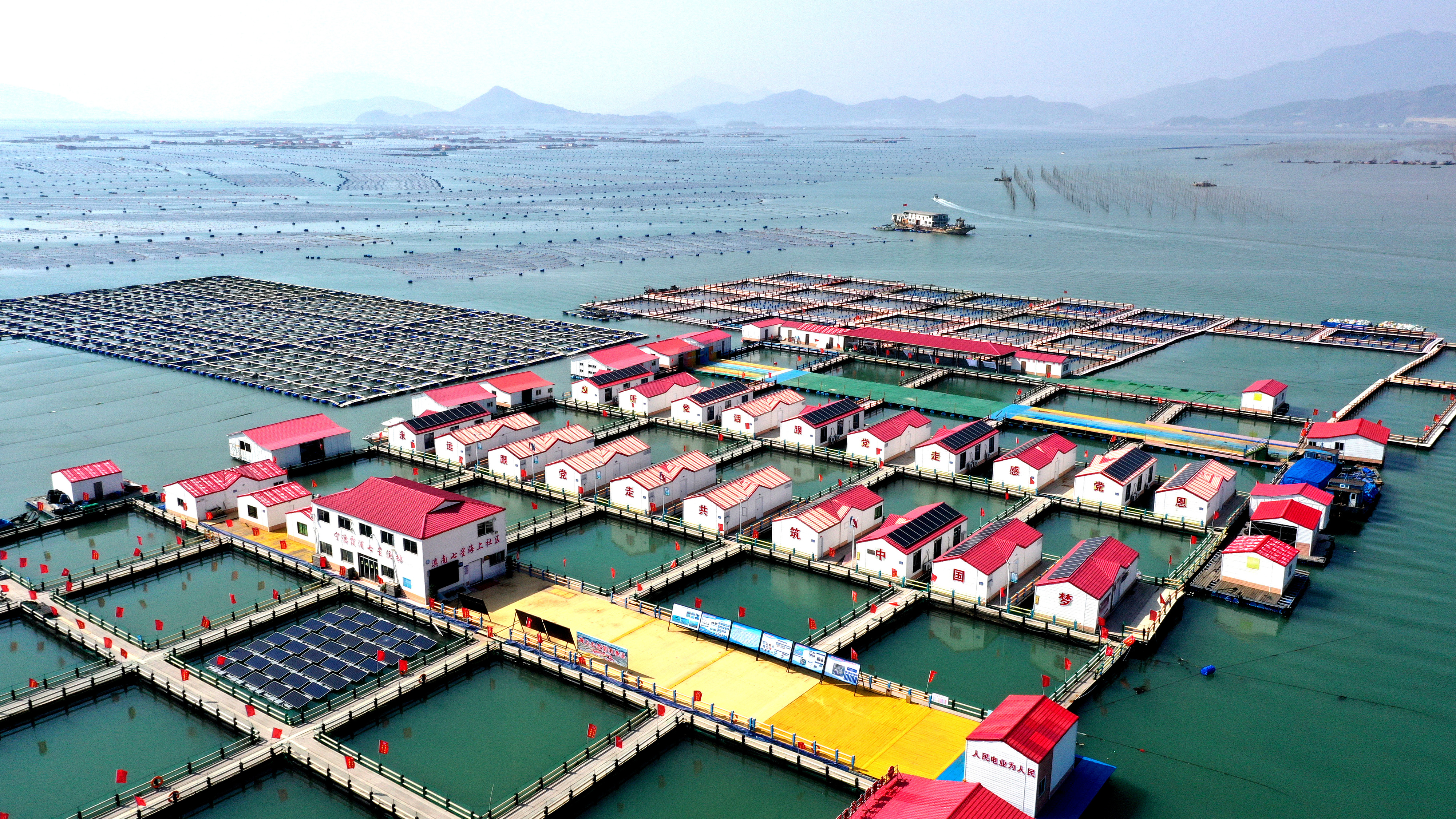 2024年3月20日，福建省寧德市，霞浦縣溪南鎮(zhèn)七星村漁排養(yǎng)殖示范區(qū)，漁民駕駛養(yǎng)殖船進(jìn)行海參養(yǎng)殖作業(yè)。