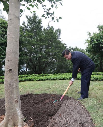 2012年12月7日至11日，習(xí)近平在廣東省考察工作。這是8日上午，習(xí)近平在深圳蓮花山公園種下一棵高山榕樹。新華社記者 蘭紅光 攝