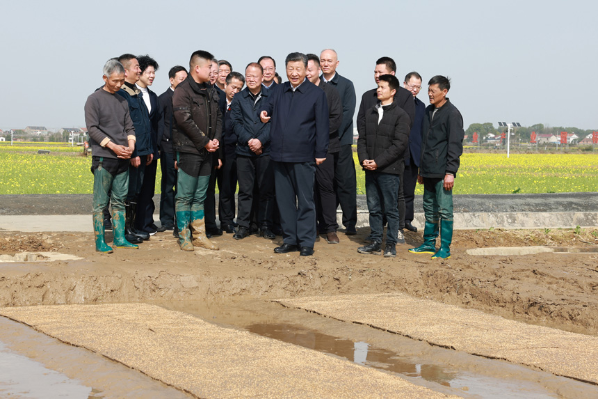 2024年3月18日至21日，中共中央總書記、國家主席、中央軍委主席習(xí)近平在湖南考察。這是19日下午，習(xí)近平在常德市鼎城區(qū)謝家鋪鎮(zhèn)港中坪村走進(jìn)田間，察看秧苗培育和春耕備耕進(jìn)展。新華社記者 王曄 攝