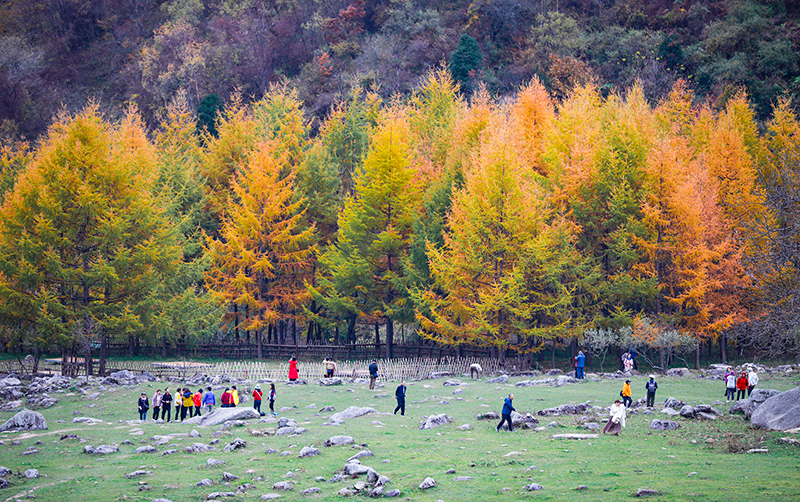 2023年10月27日，深秋時(shí)節(jié)的陜西秦嶺太子嶺漫山紅黃、色彩交織，進(jìn)入最佳觀賞期。