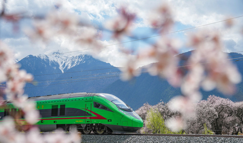 2025年4月2日，復(fù)興號列車穿行在拉林鐵路林芝段。