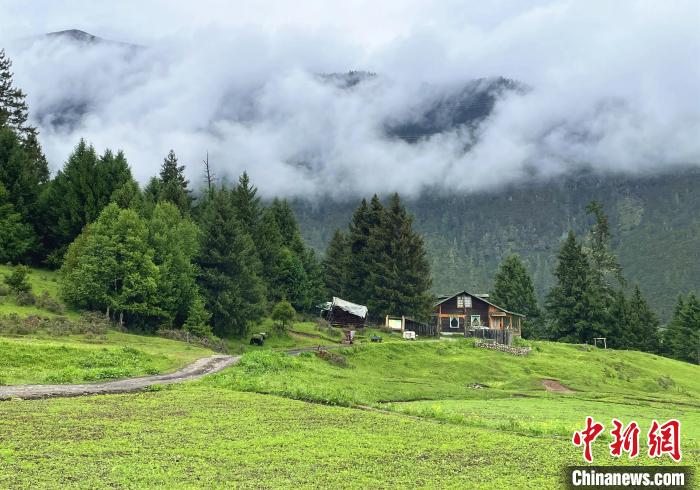 6月10日，魯朗小鎮(zhèn)高山牧場景區(qū)風(fēng)光?！∪轿木?攝